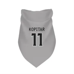 Los Angeles Kings Anze Kopitar Gray Pet Bandana for Dog & Cat