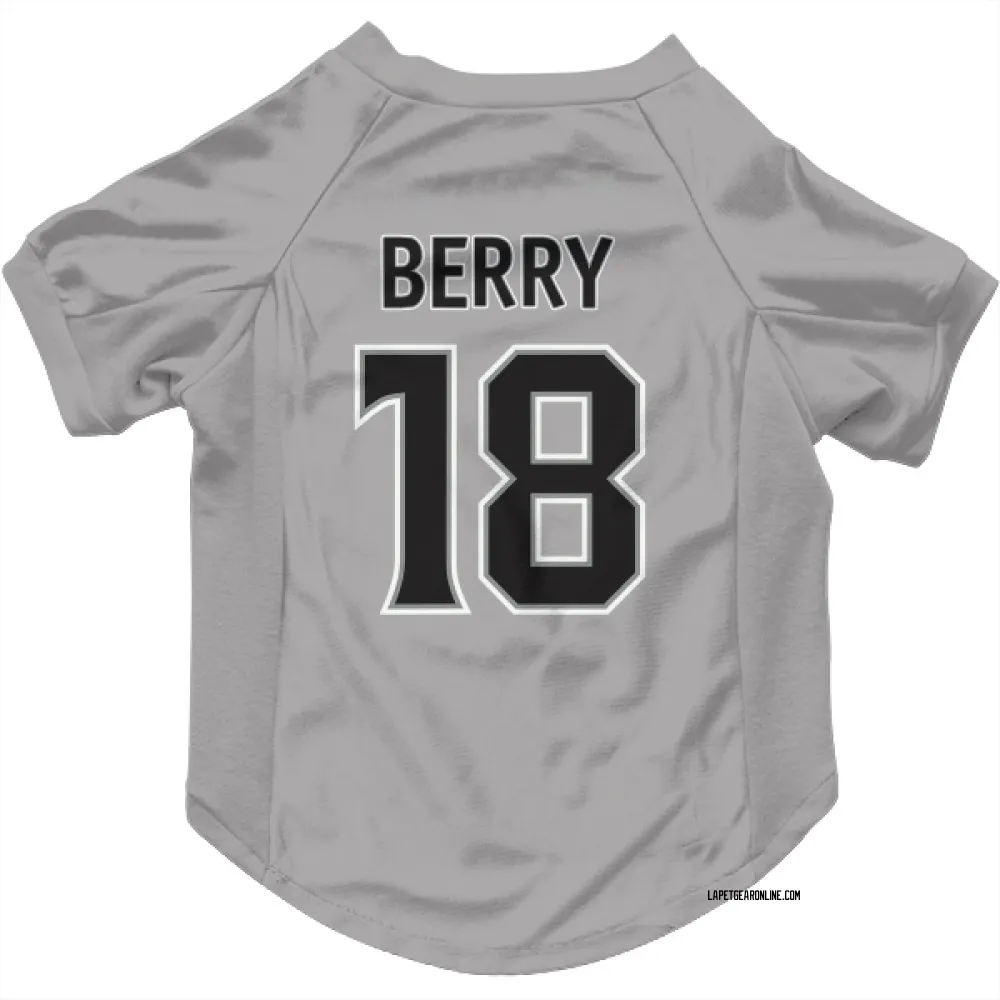 Los Angeles Kings Bob Berry Gray Pet Jersey for Dog & Cat