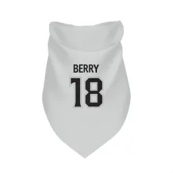 Los Angeles Kings Bob Berry White Pet Bandana for Dog & Cat