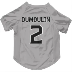 Los Angeles Kings Brian Dumoulin Gray Pet Jersey for Dog & Cat