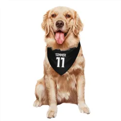 Los Angeles Kings Charlie Simmer Black Pet Bandana for Dog & Cat