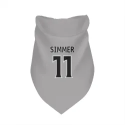 Los Angeles Kings Charlie Simmer Gray Pet Bandana for Dog & Cat