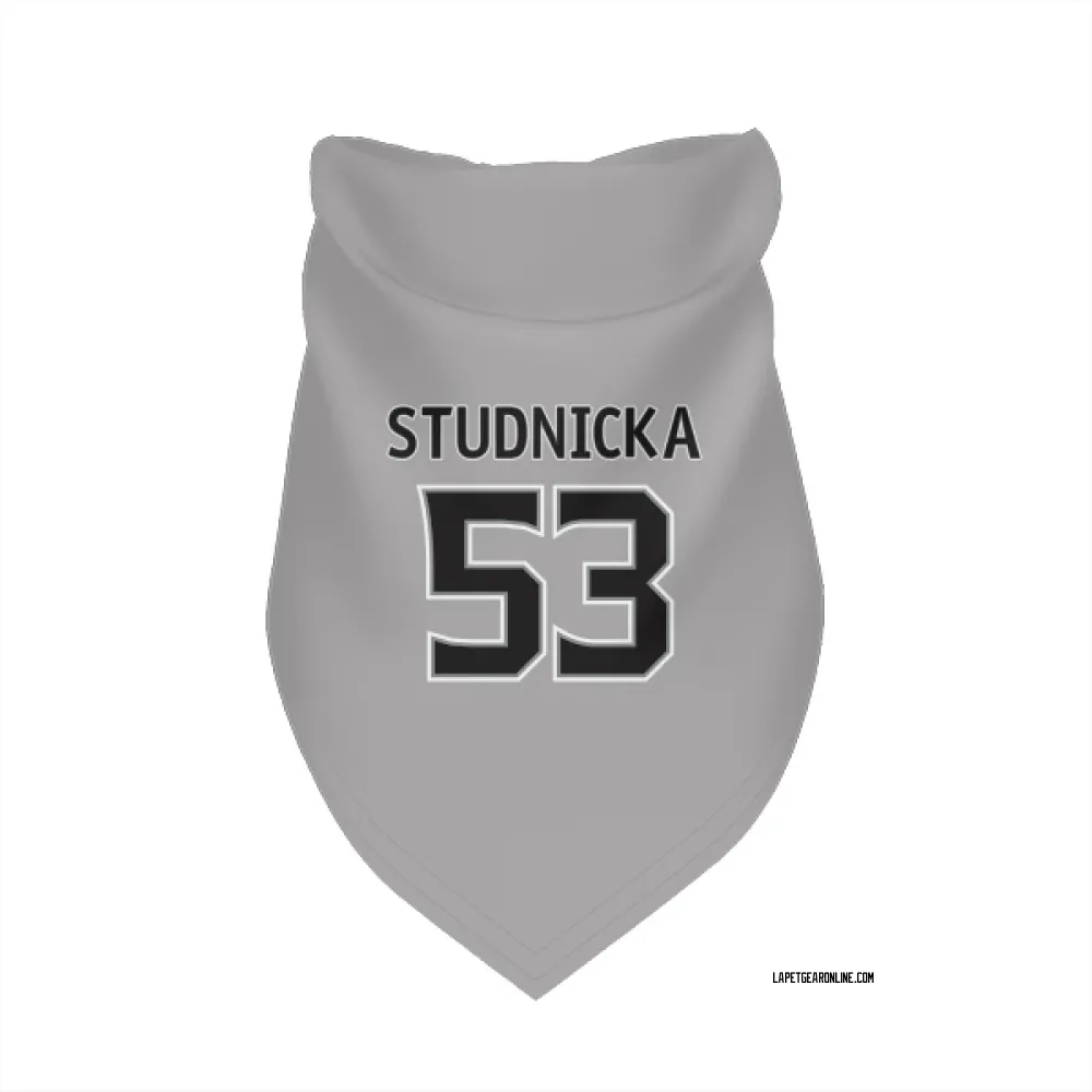 Los Angeles Kings Jack Studnicka Gray Pet Bandana for Dog & Cat