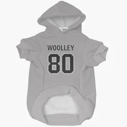 Los Angeles Kings Jared Woolley Gray Pet Hoodie for Dog & Cat