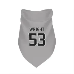 Los Angeles Kings Jared Wright Gray Pet Bandana for Dog & Cat