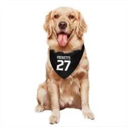 Los Angeles Kings Joe Hicketts Black Pet Bandana for Dog & Cat