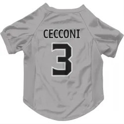 Los Angeles Kings Joseph Cecconi Gray Pet Jersey for Dog & Cat