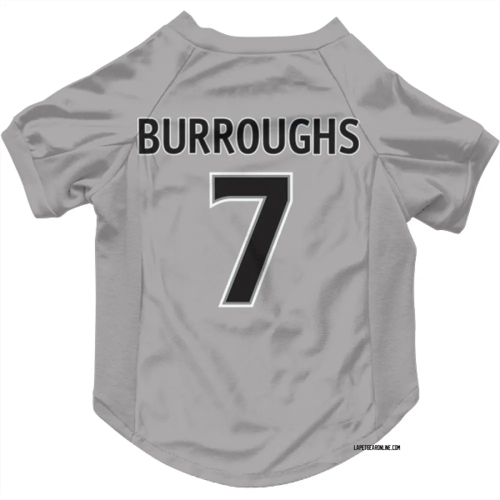 Los Angeles Kings Kyle Burroughs Gray Pet Jersey for Dog & Cat