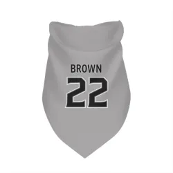 Los Angeles Kings Logan Brown Gray Pet Bandana for Dog & Cat