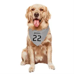 Los Angeles Kings Logan Brown Gray Pet Bandana for Dog & Cat