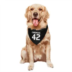 Los Angeles Kings Martin Chromiak Black Pet Bandana for Dog & Cat