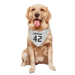 Los Angeles Kings Martin Chromiak White Pet Bandana for Dog & Cat