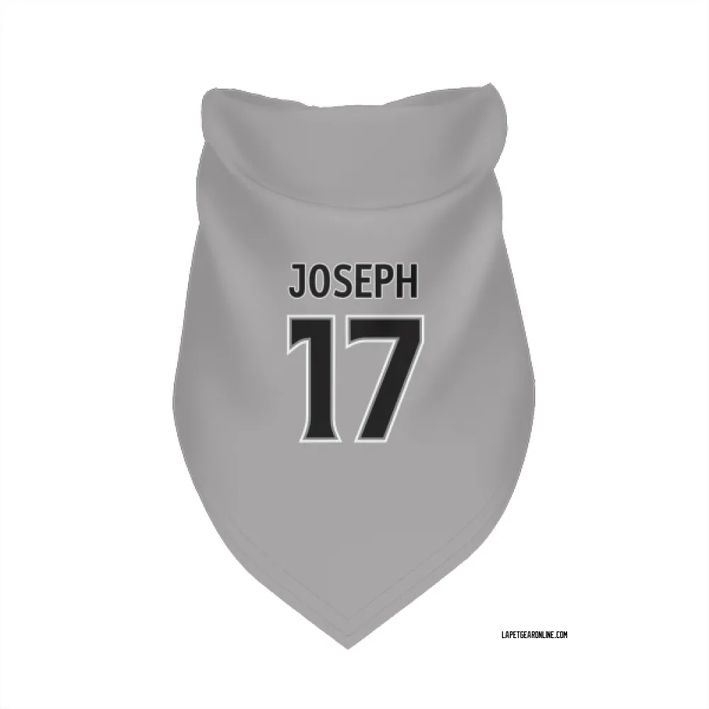 Los Angeles Kings Mathieu Joseph Gray Pet Bandana for Dog & Cat