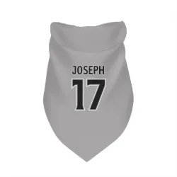 Los Angeles Kings Mathieu Joseph Gray Pet Bandana for Dog & Cat