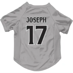 Los Angeles Kings Mathieu Joseph Gray Pet Jersey for Dog & Cat