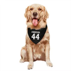 Los Angeles Kings Mikey Anderson Black Pet Bandana for Dog & Cat