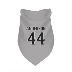 Los Angeles Kings Mikey Anderson Gray Pet Bandana for Dog & Cat