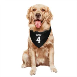 Los Angeles Kings Rob Blake Black Pet Bandana for Dog & Cat