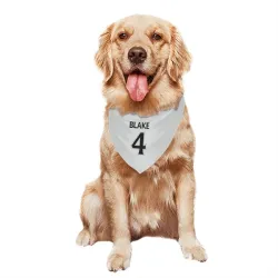 Los Angeles Kings Rob Blake White Pet Bandana for Dog & Cat