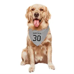 Los Angeles Kings Terry Sawchuk Gray Pet Bandana for Dog & Cat